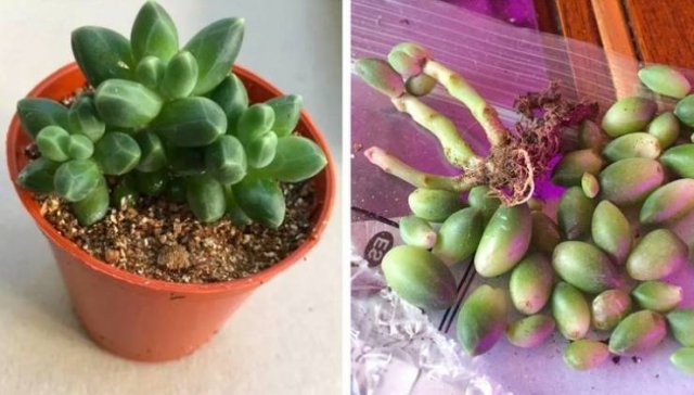 Expectations And Reality (40 pics) Expectations And Reality (40 pics)