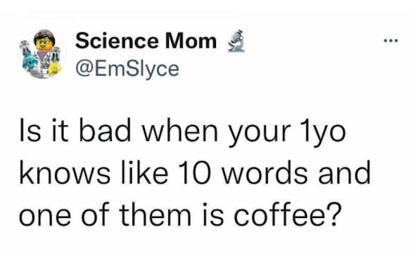 Parenting Tweets (28 pics)