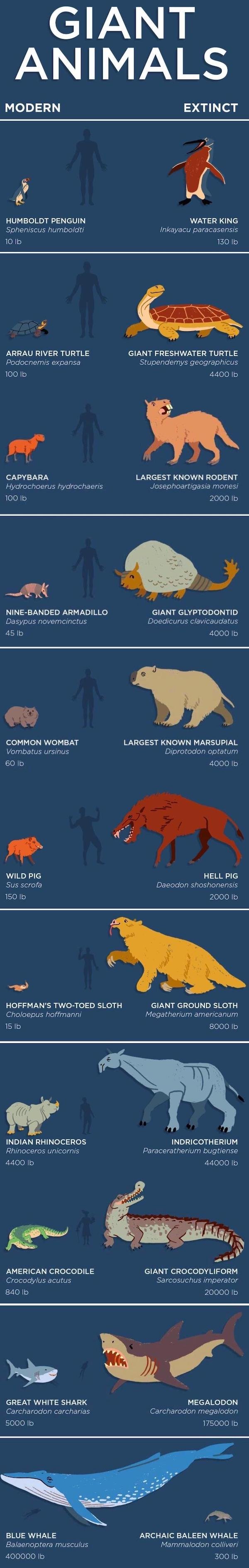 Interesting Data (24 pics)