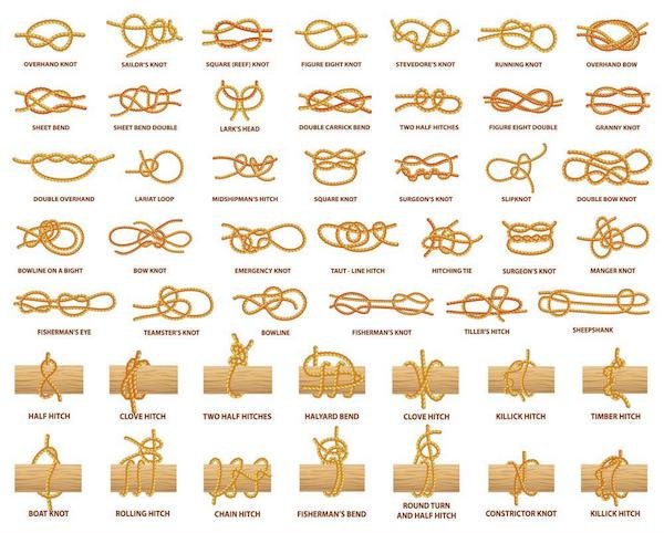 Interesting Data (24 pics)