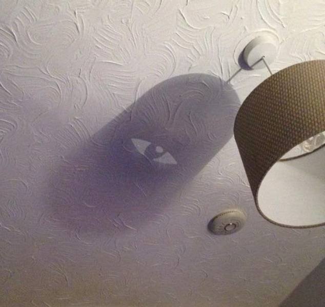 Curious Photos (50 pics)
