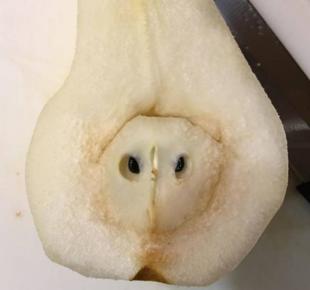 Curious Photos (50 pics)