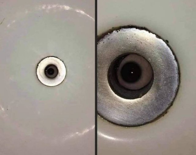 Curious Photos (50 pics)