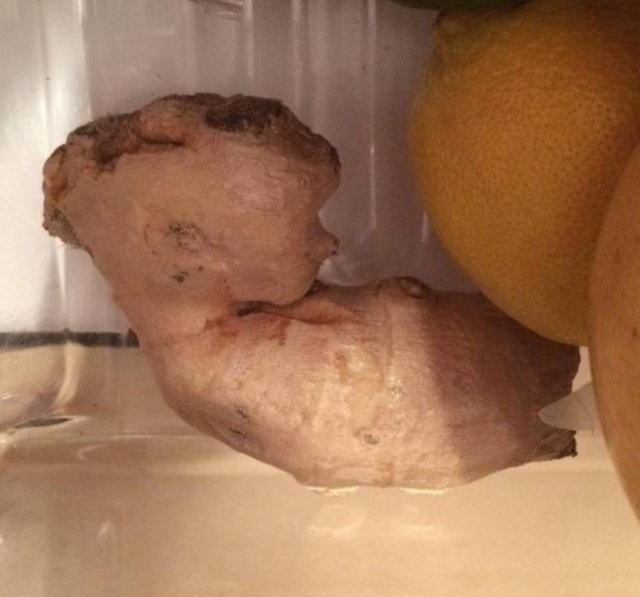 Curious Photos (50 pics)
