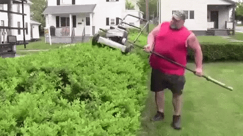 Wins And Fails (42 gifs)