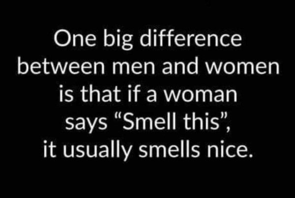 The Difference Between Men And Women (29 pics)