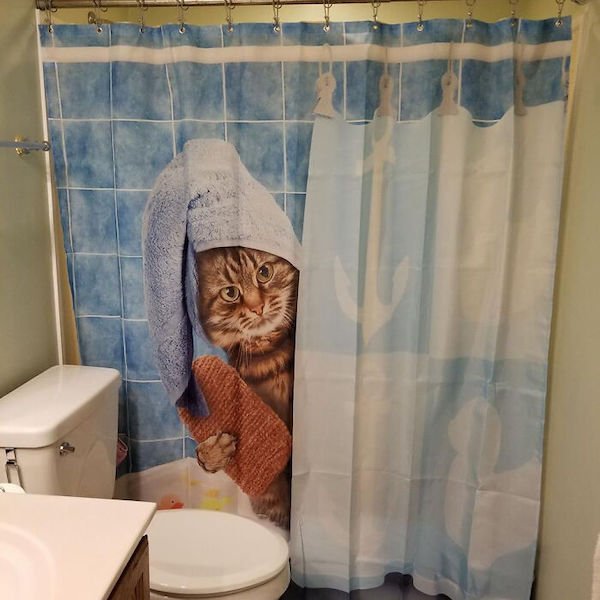 Funny Shower Curtains (27 pics)