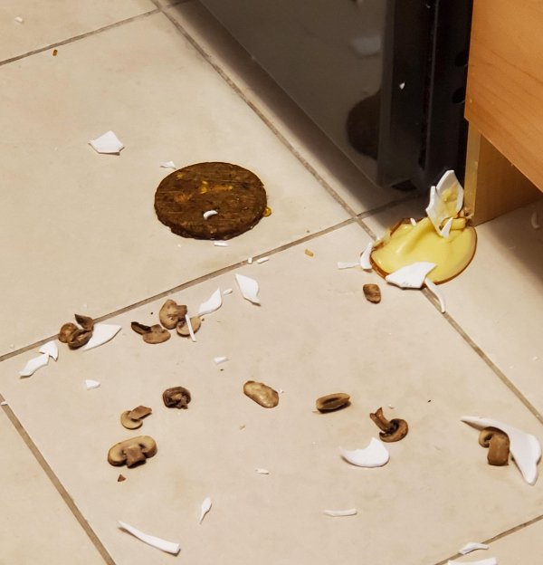Bad Days Happen (25 pics)