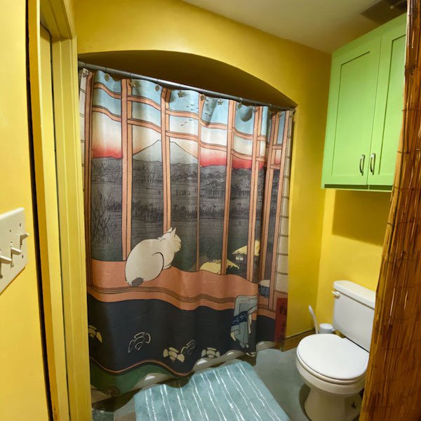 Funny Shower Curtains (27 pics)