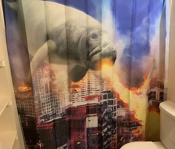 Funny Shower Curtains (27 pics)