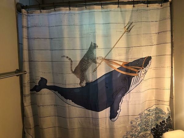 Funny Shower Curtains (27 pics)