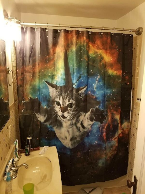 Funny Shower Curtains (27 pics)