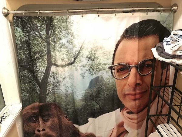 Funny Shower Curtains (27 pics)