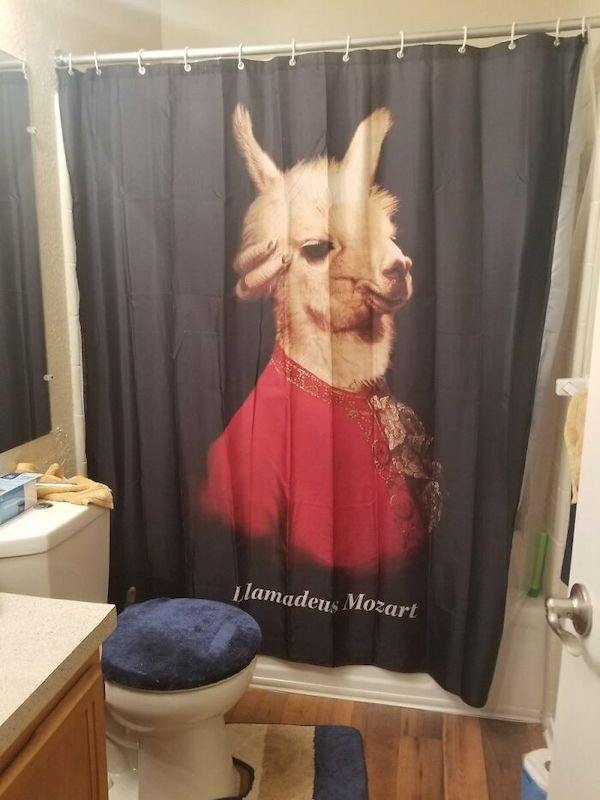 Funny Shower Curtains (27 pics)