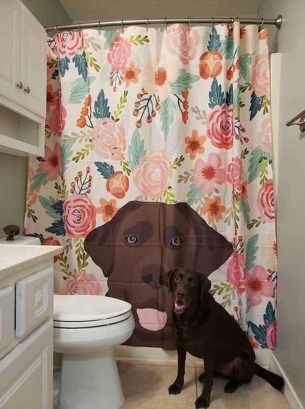 Funny Shower Curtains (27 pics)