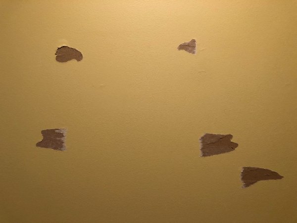 Bad Days Happen (25 pics)