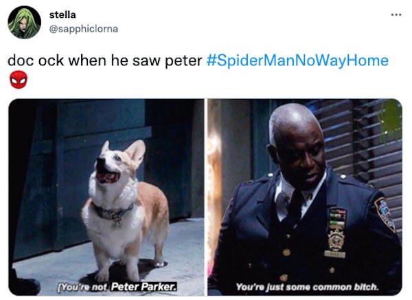 'The New Spiderman' Movie Trailer Humor (26 pics)