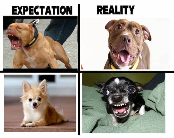 Expectations And Reality (37 pics)