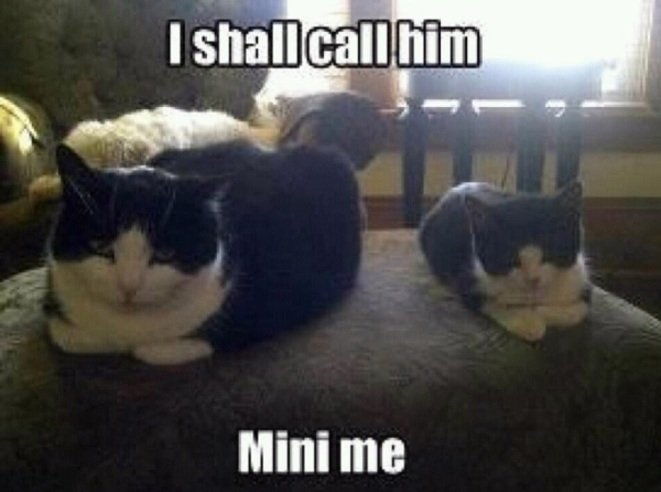 Memes For Grown-Ups (38 pics)