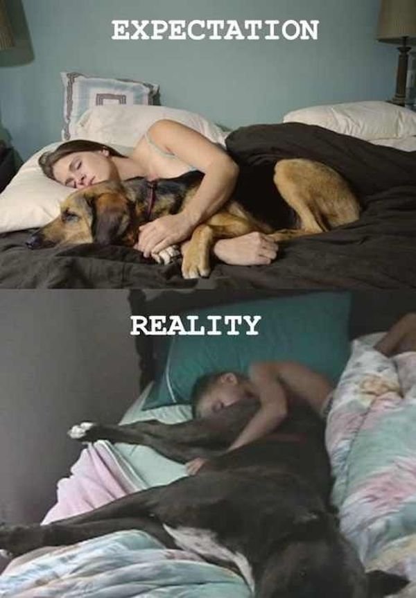 Expectations And Reality (37 pics)