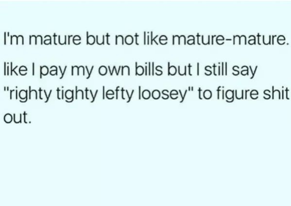 Memes For Grown-Ups (38 pics)