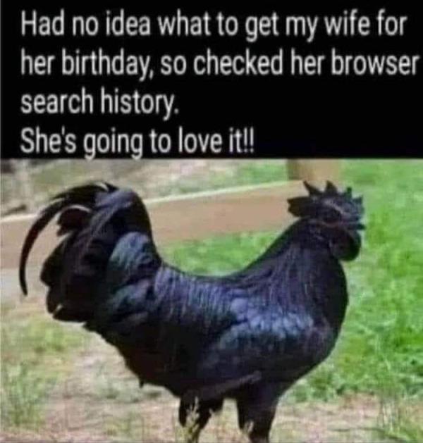 Memes For Grown-Ups (38 pics)