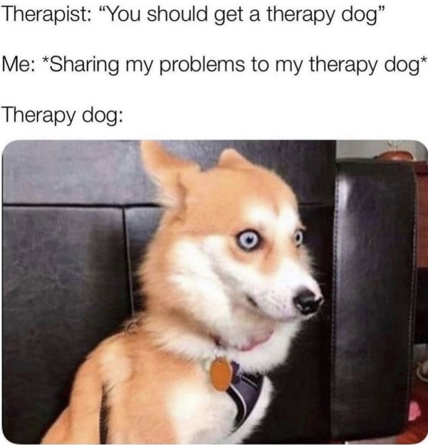 Memes For Grown-Ups (38 pics)