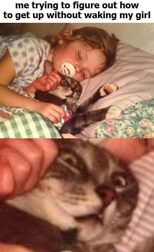 Acid Picdump 2 (82 pics)