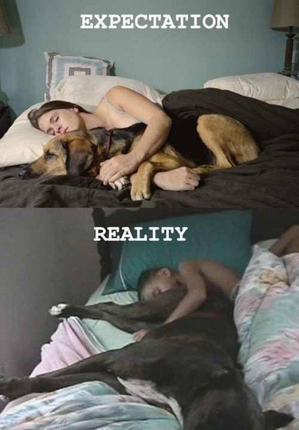 Acid Picdump 2 (82 pics)