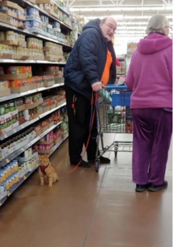 Walmart Visitors (23 pics)