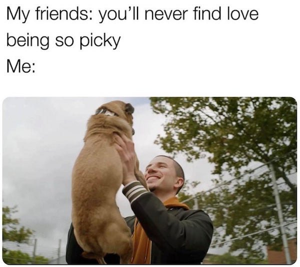 Pet Owners Memes (39 pics)