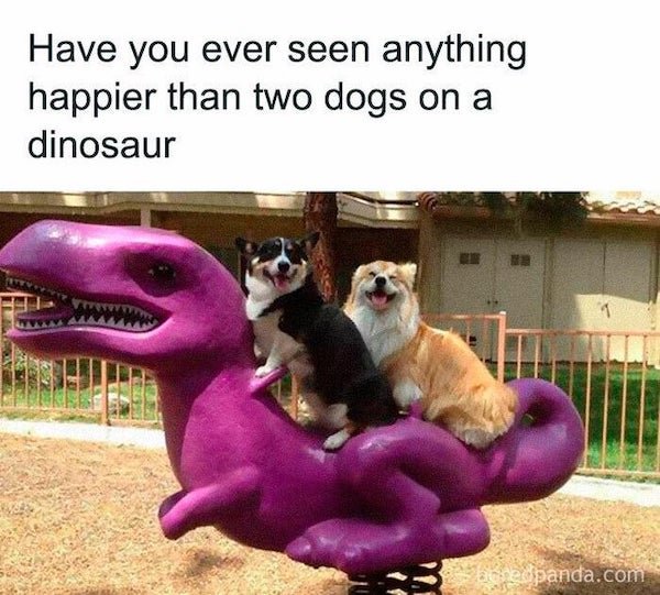 Pet Owners Memes (39 pics)