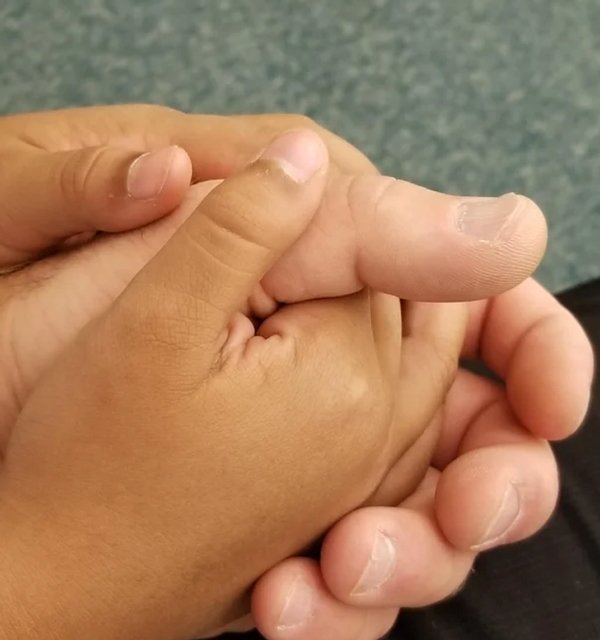 Welcome Adoption Heroes (20 pics)