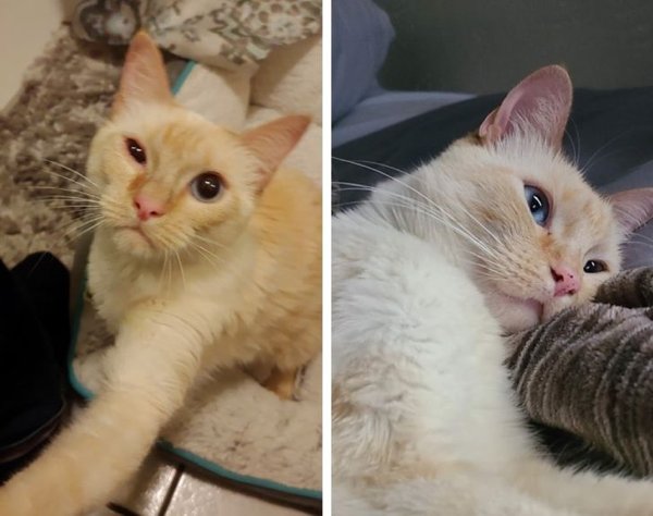 Welcome Adoption Heroes (20 pics) Welcome Adoption Heroes (20 pics)
