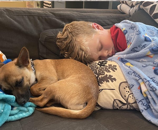 Welcome Adoption Heroes (20 pics) Welcome Adoption Heroes (20 pics)