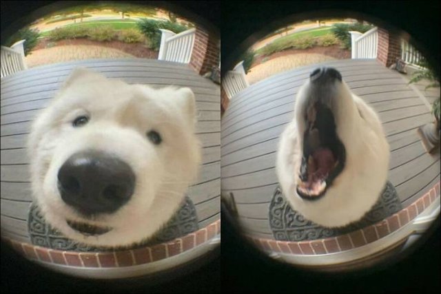 Acid Picdump 2 (58 pics)