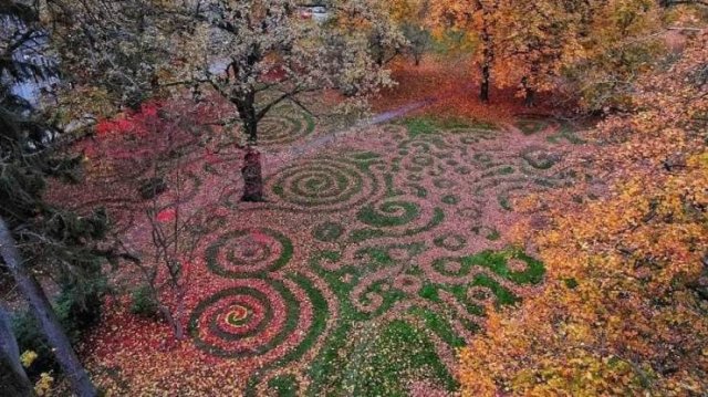 Acid Picdump 2 (58 pics)