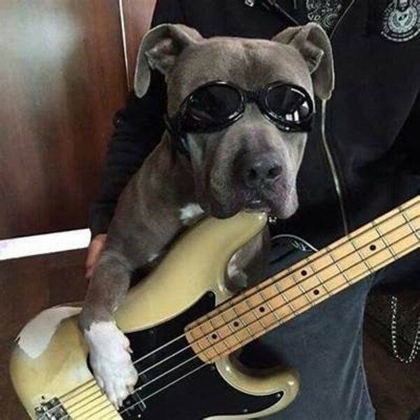 Acid Picdump 2 (58 pics)