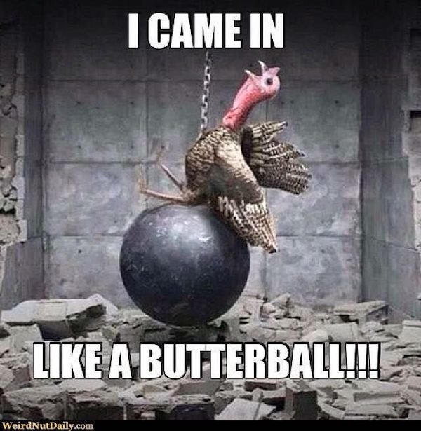 Thanksgiving Day Memes (31 pics)