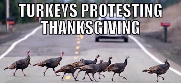 Thanksgiving Day Memes (31 pics)