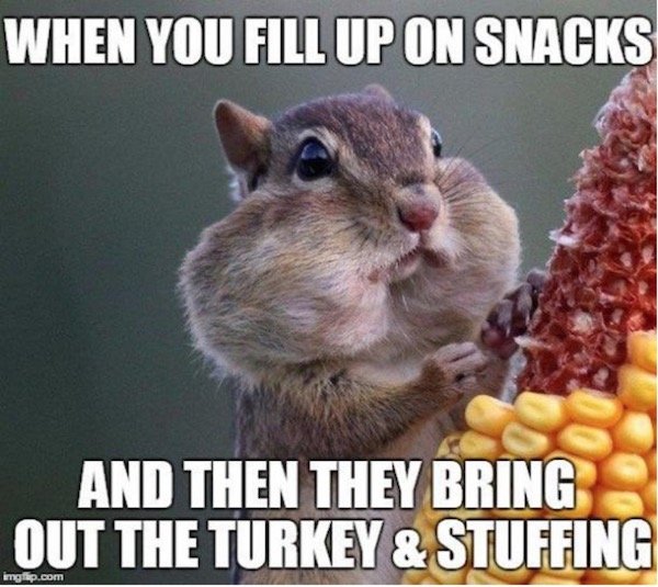 Thanksgiving Day Memes (31 pics)