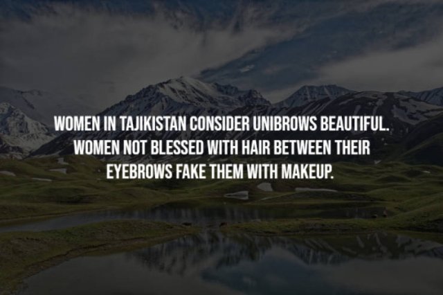 Curious Facts (17 pics)