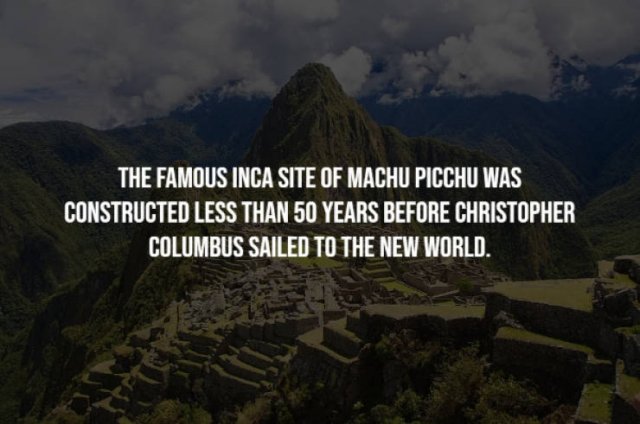 Curious Facts (17 pics)