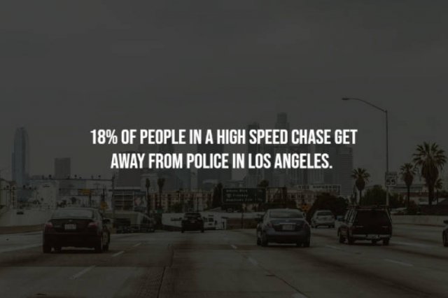 Curious Facts (17 pics)