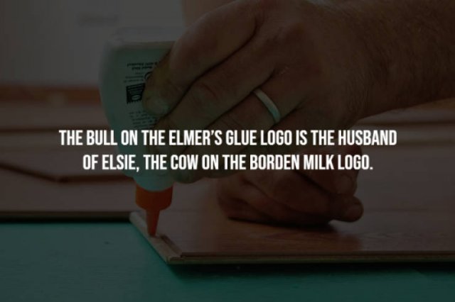 Curious Facts (17 pics)