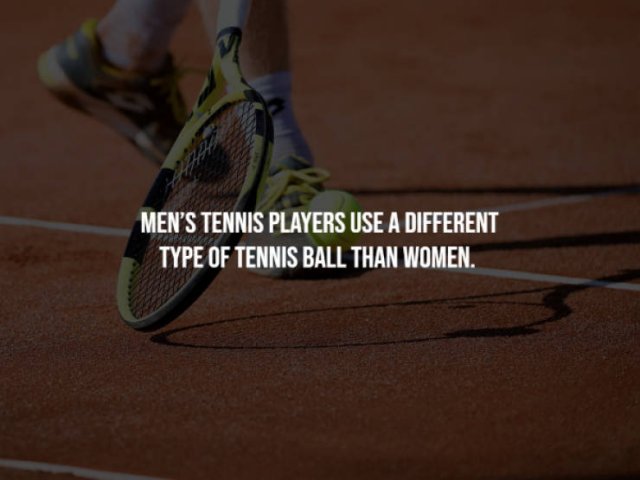Curious Facts (17 pics)
