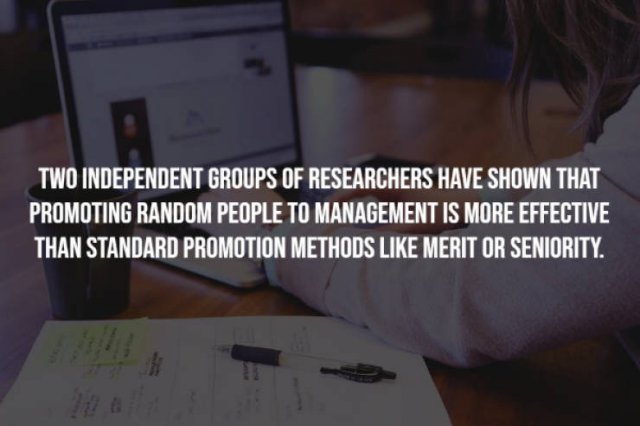 Curious Facts (17 pics)