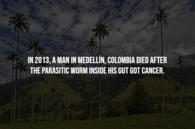 Curious Facts (17 pics)
