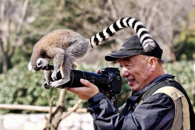 Acid Picdump 1 (85 pics)