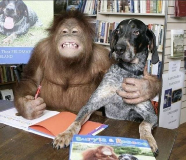 Acid Picdump 1 (85 pics)
